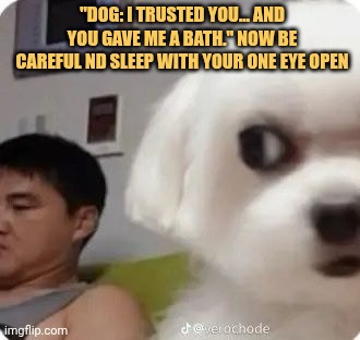 i trusted you bro now youre gonna be doomed meme