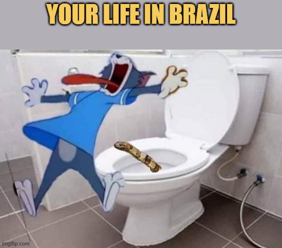 Brazilian toilets