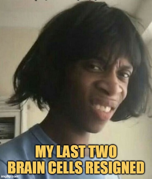 no braincell left for work meme