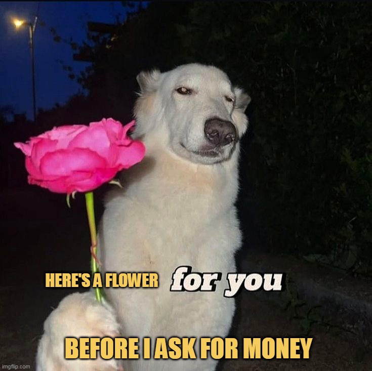 Can you give me some money?