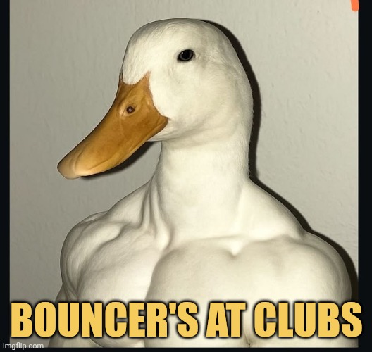 How club security be like