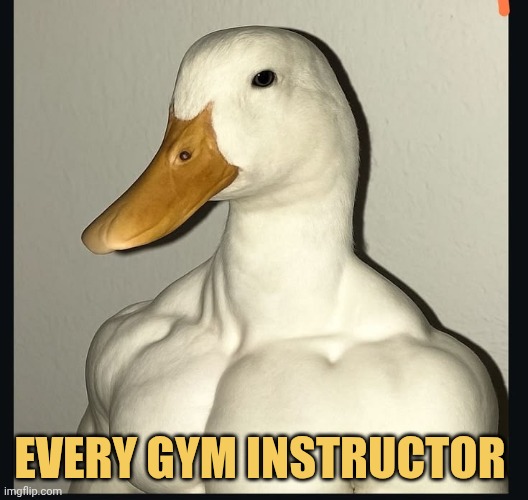 How GYM joints be like