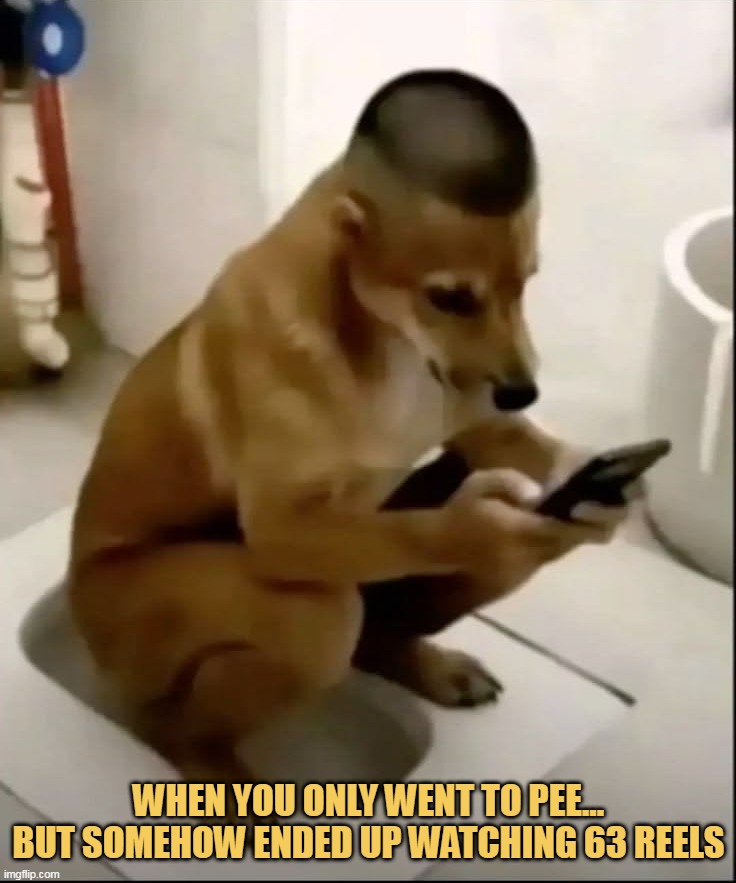 it is my bathroom time meme