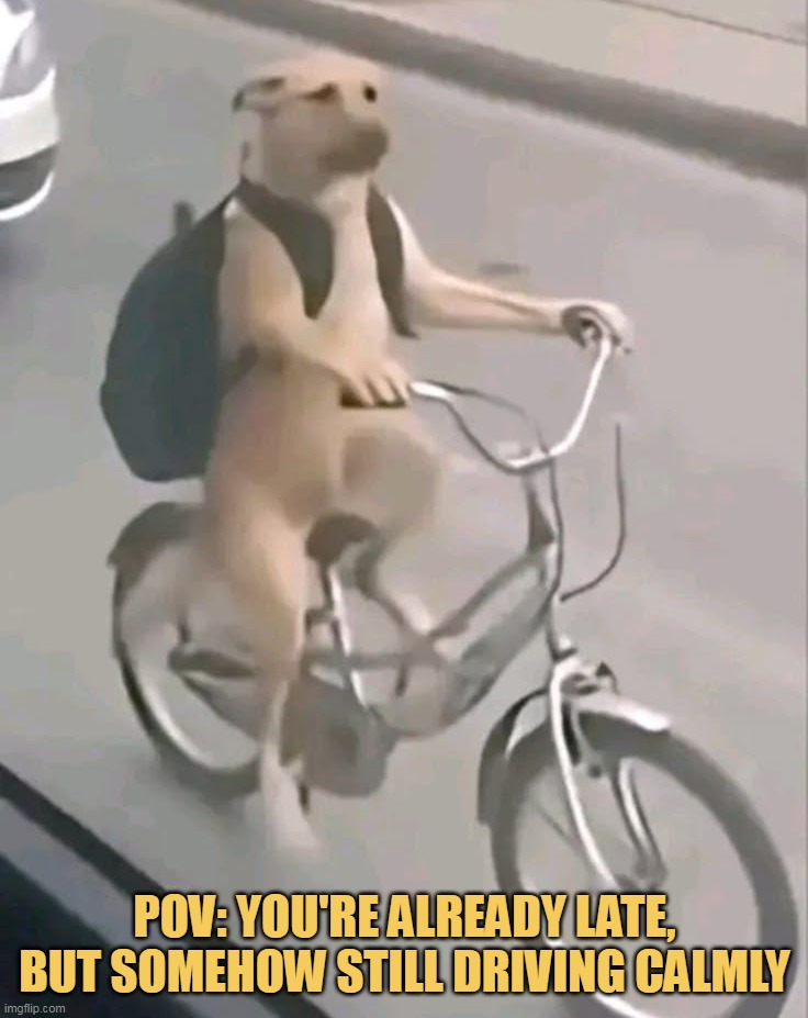 i am very calm meme