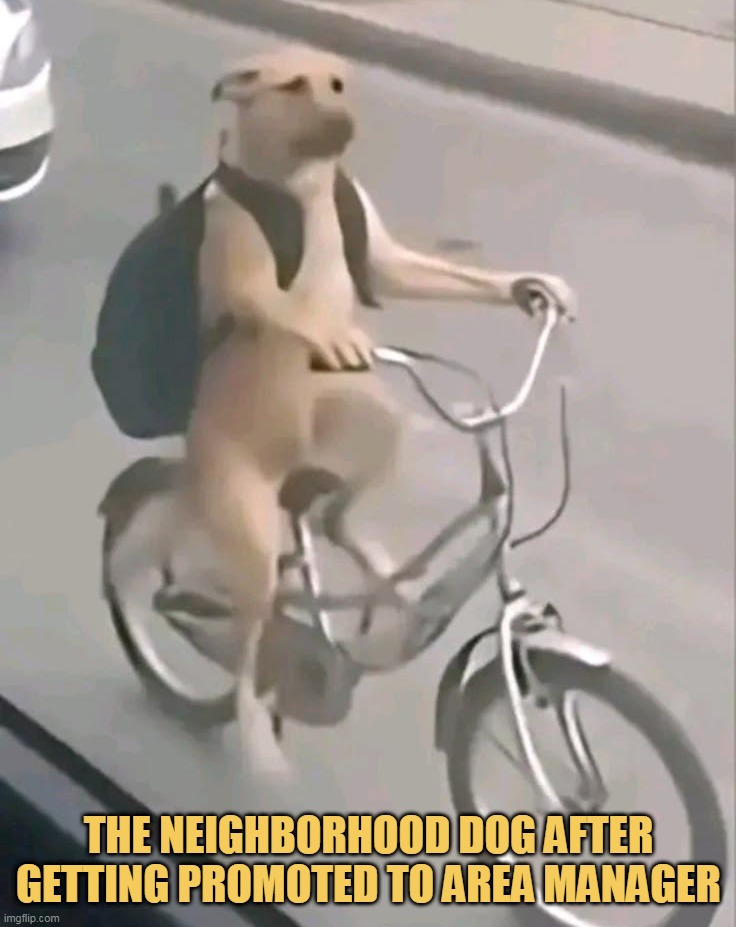 he is in power now..... meme