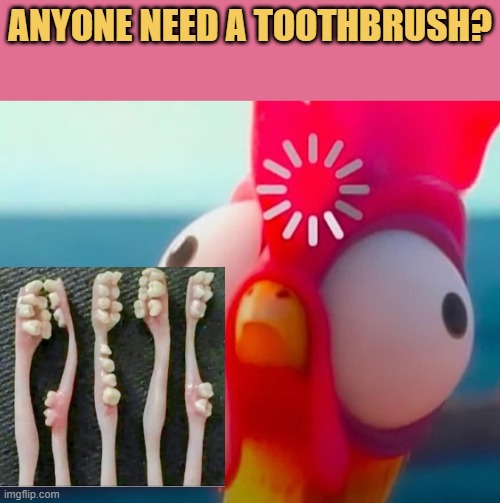 The toothbrush
