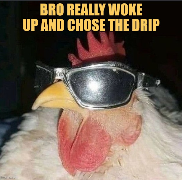 Bro choose dripping