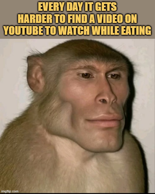 everyday struggle meme