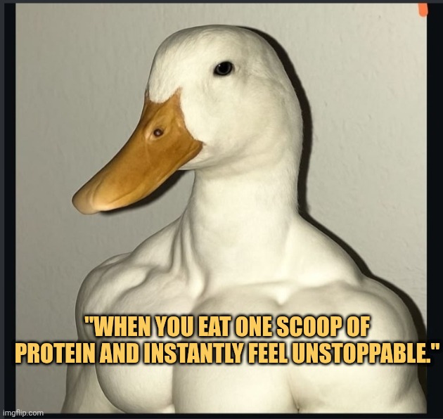 protein wakes me up meme