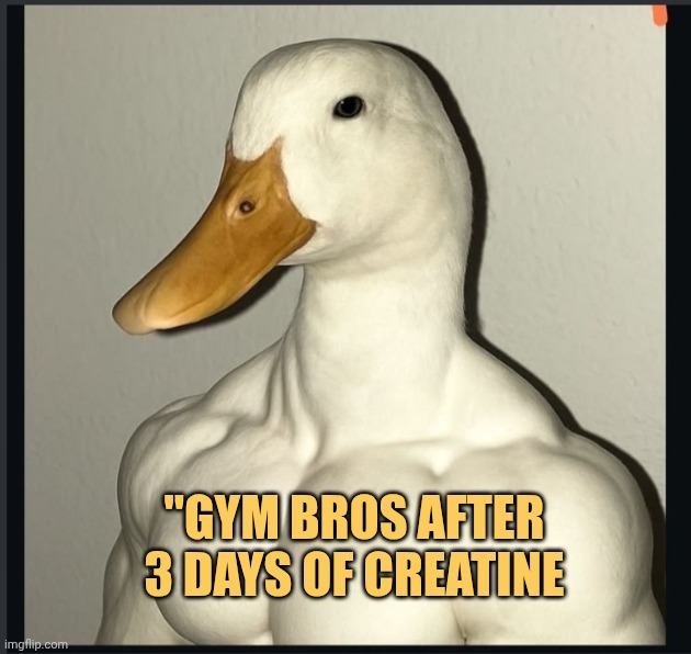 creatine made you strong meme