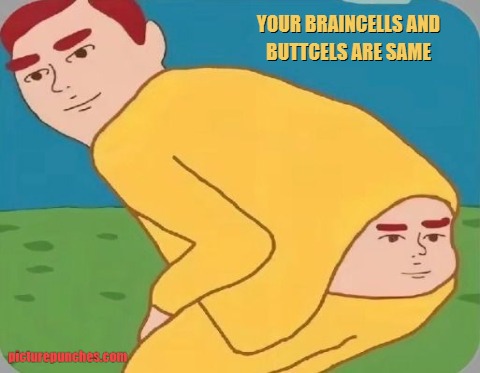 brain and butt meme