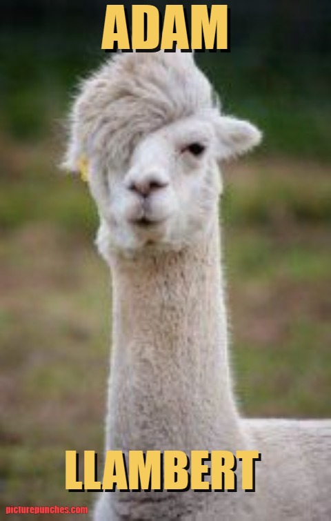 NAme for this LLama