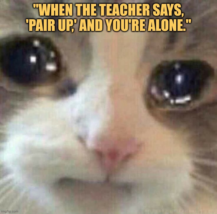 nobody wants to be my partner meme