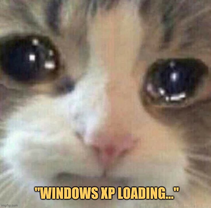 Window xp still loading