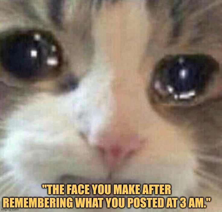 at night my inner sadness came out meme