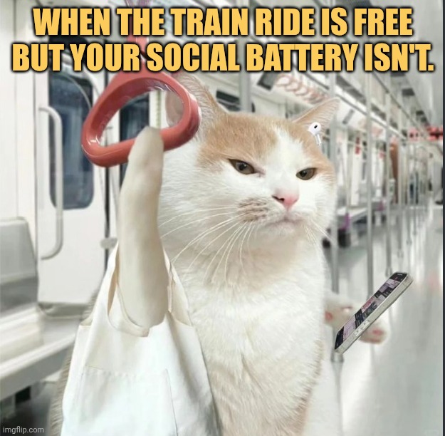 Ny social battery isn't always high