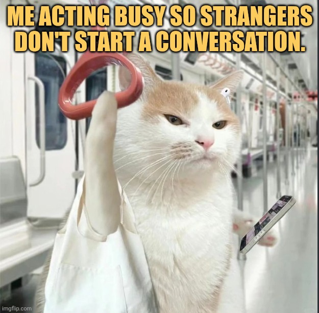 Have to act like busy I don't like stranger