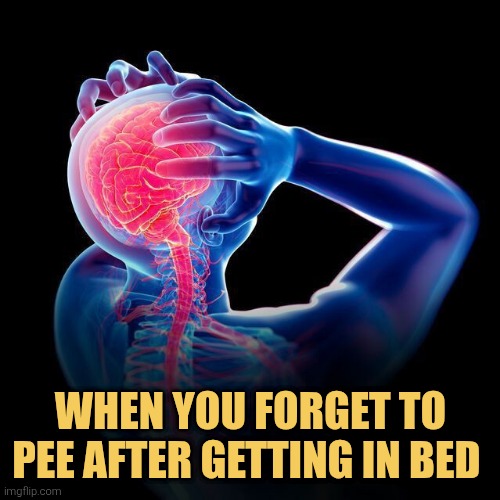 When I suddenly forget to pee after getting in bed