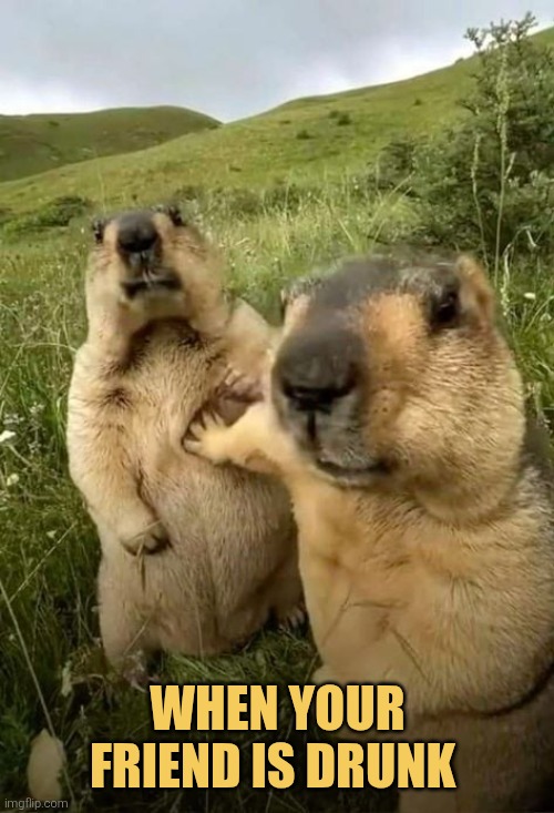 When your buddy got you