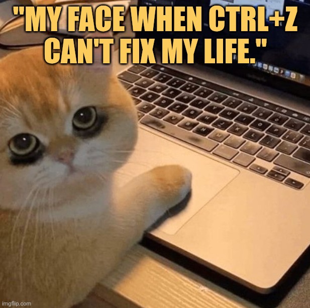 why cant ctrl+z back my life meme