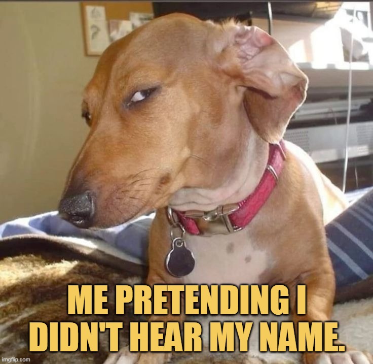 my ears are bad meme