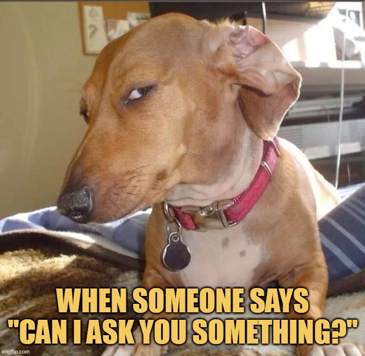 no you cant ask me anything meme