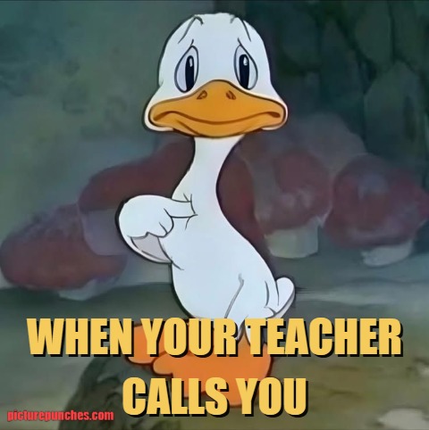 was it me? meme
