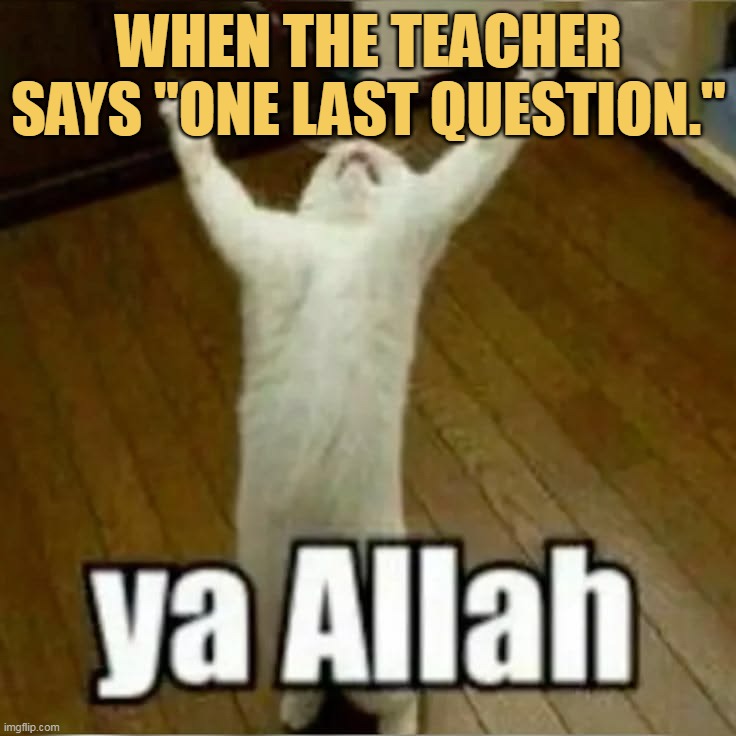 No Teacher No Please
