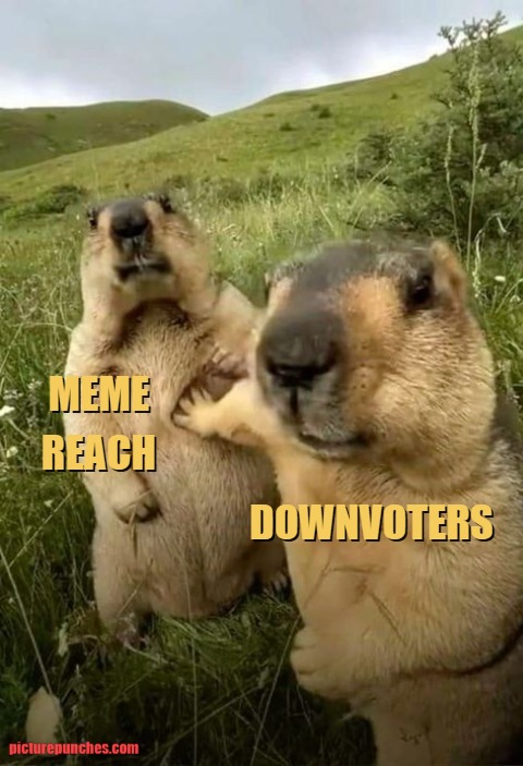 I am getting a lot of downvotes recently