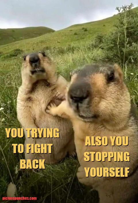 when you are a coward meme