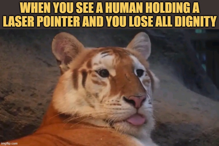 That scared me  meme