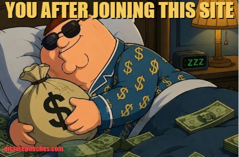 picturepunches will make you rich meme