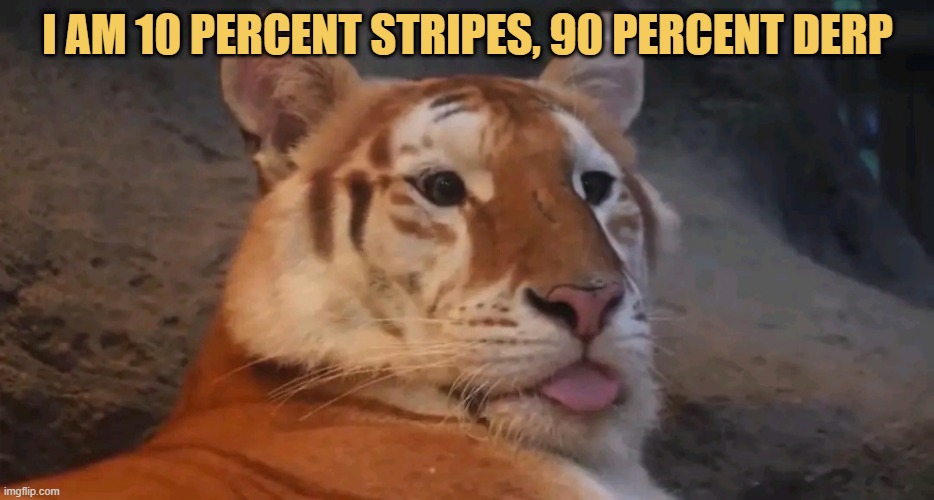 Am I not beautiful?  meme