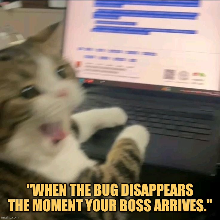 Boss i swear the computer was full of bugs