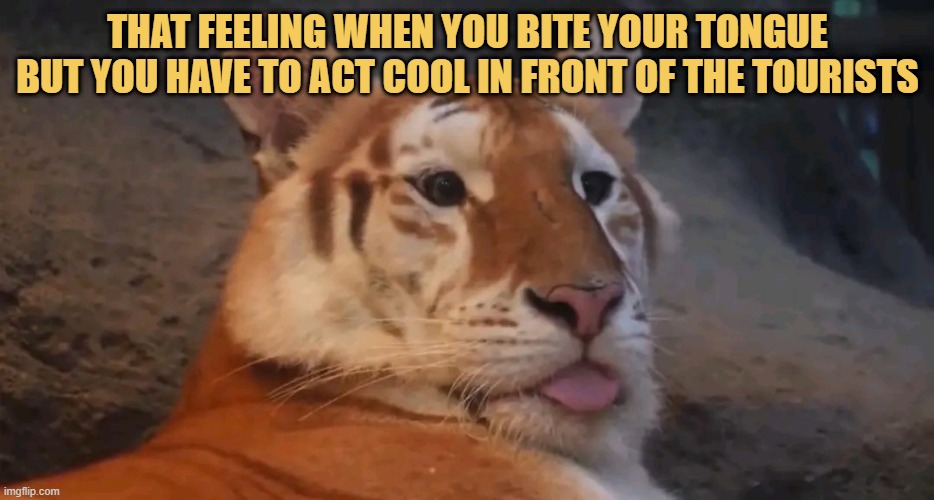 Can't look bad IN front of them :) 