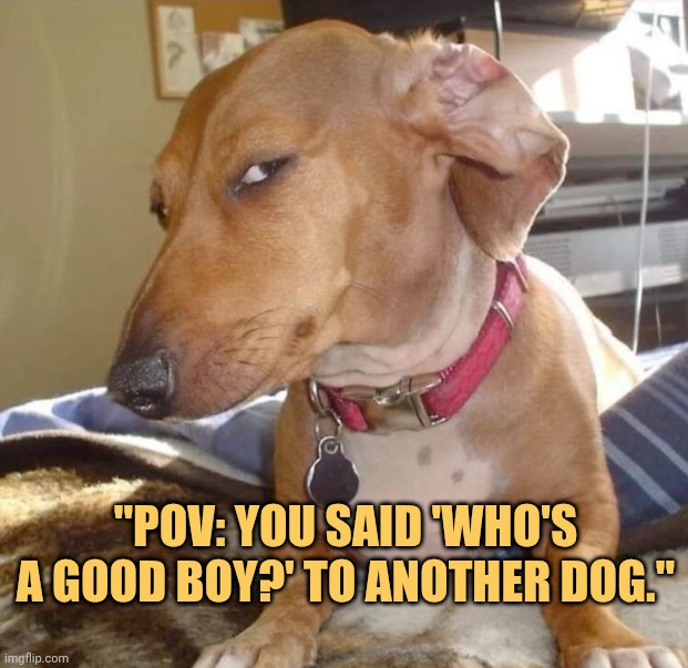 what did you say bro meme