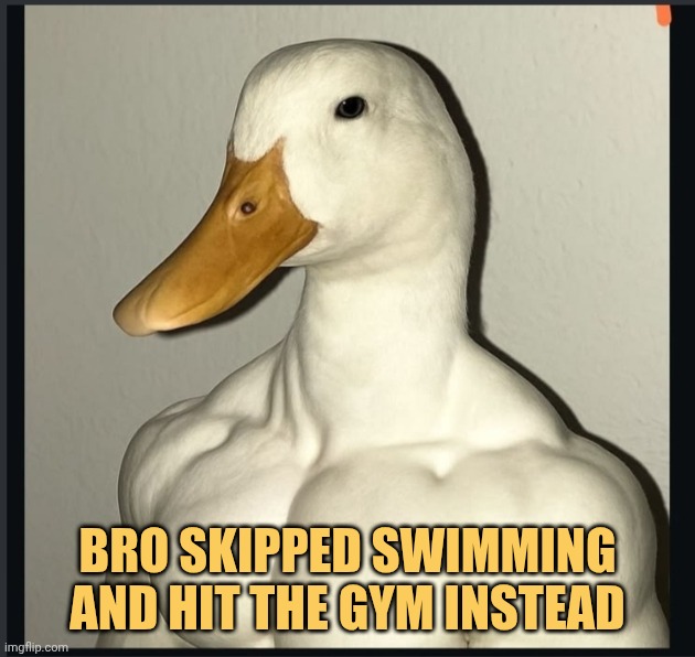 bro is ultra legend meme