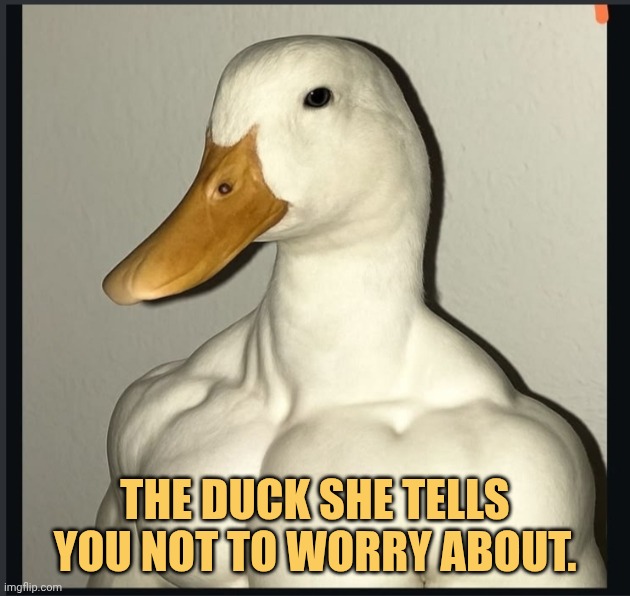 The duck she tells you not to worry