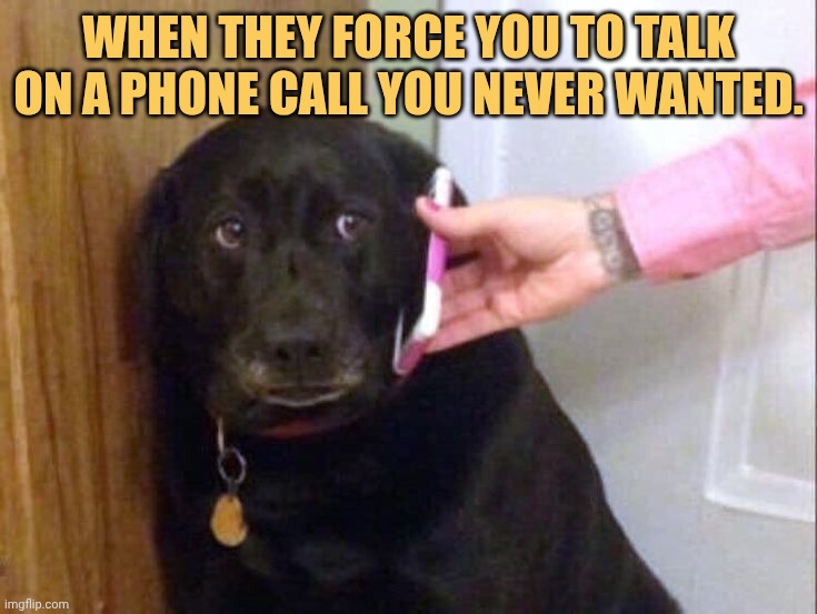 mom put me on phone forcefully meme