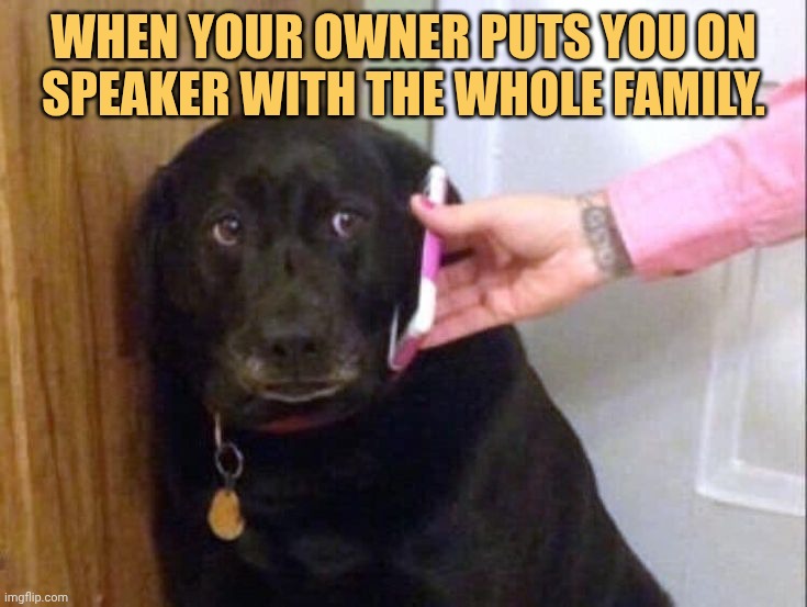 i don't like the family member meme