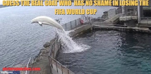 Dear Ronaldo