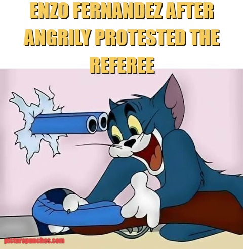 Enzo after a booking