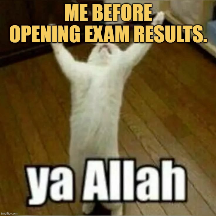 It is too bad!