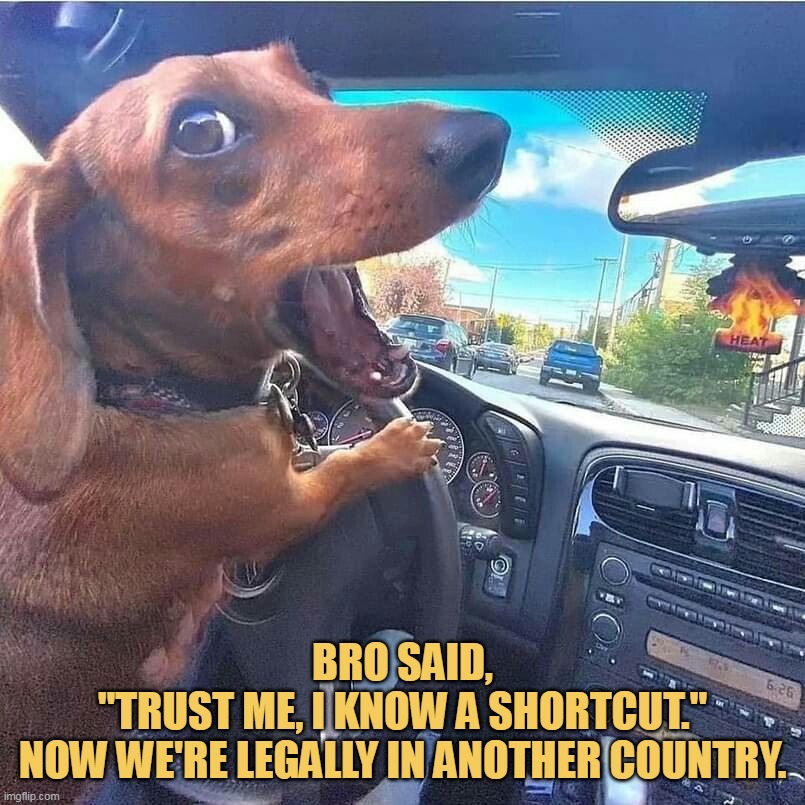 what the hell you did brther meme