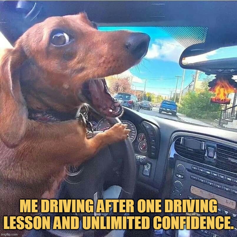 Full of confidence