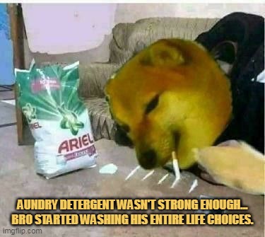 Because bro is sad