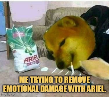 Even Areal is in shock
