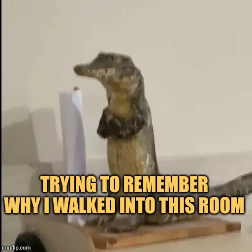 sometimes i forgot things meme
