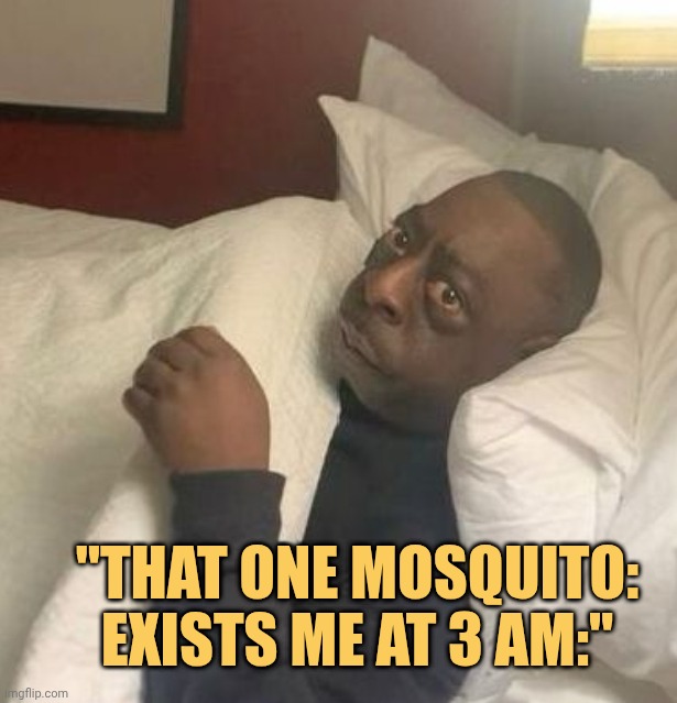 that one mosquito who doesn't let me sleep meme
