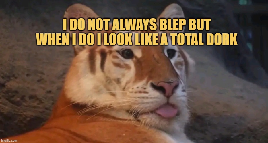 Lioness gets crazy  meme
